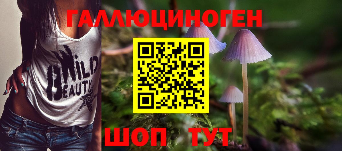Лесозаводск  Галлюциногенные грибы ЛСД  Псилоцибиновые грибы MAGIC MUSHROOMS  Вход с VPN 